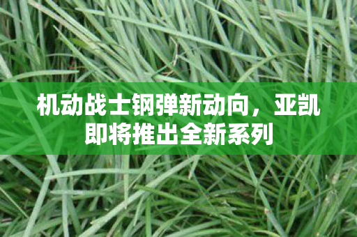 机动战士钢弹新动向，亚凯即将推出全新系列