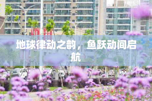 地球律动之韵，鱼跃动间启航