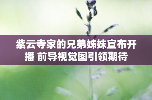紫云寺家的兄弟姊妹宣布开播 前导视觉图引领期待