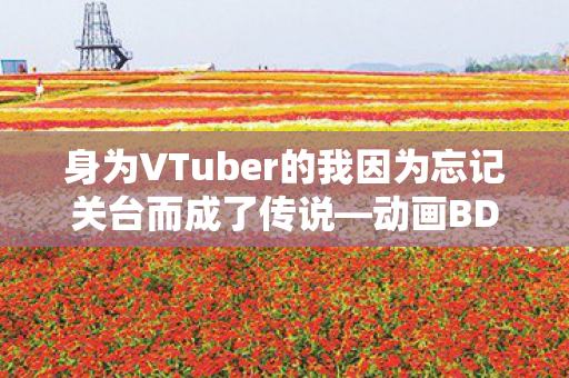身为VTuber的我因为忘记关台而成了传说—动画BD特典