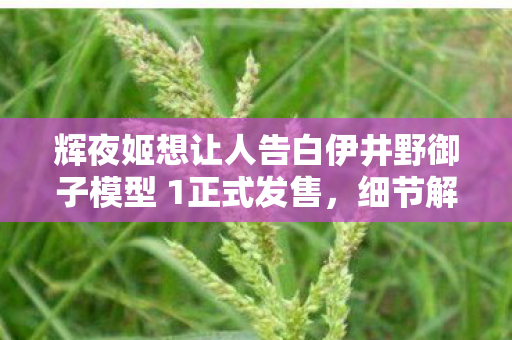 辉夜姬想让人告白伊井野御子模型 1正式发售，细节解析与期待