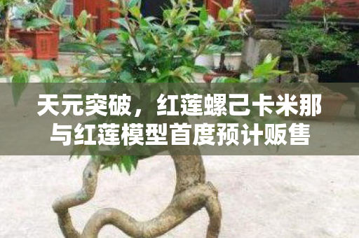 天元突破，红莲螺己卡米那与红莲模型首度预计贩售