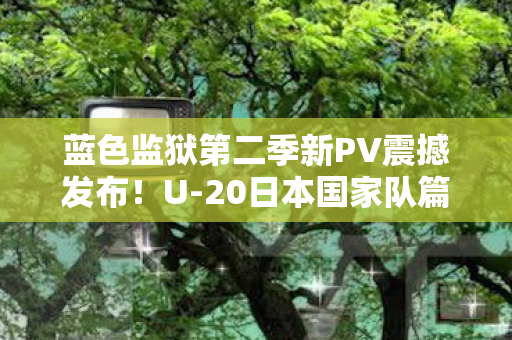 蓝色监狱第二季新PV震撼发布！U-20日本国家队篇热血开启