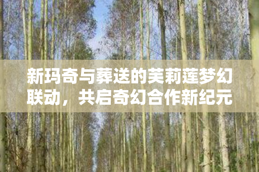 新玛奇与葬送的芙莉莲梦幻联动，共启奇幻合作新纪元