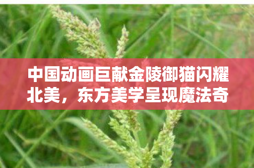 中国动画巨献金陵御猫闪耀北美，东方美学呈现魔法奇幻世界