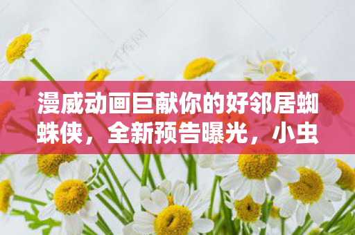 漫威动画巨献你的好邻居蜘蛛侠，全新预告曝光，小虫入学记！