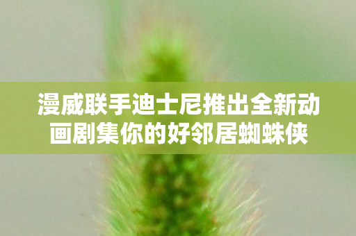 漫威联手迪士尼推出全新动画剧集你的好邻居蜘蛛侠