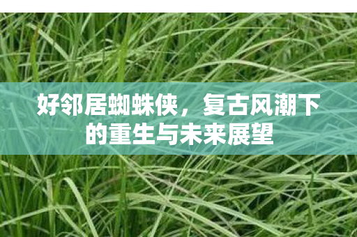 好邻居蜘蛛侠，复古风潮下的重生与未来展望