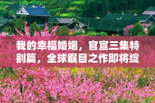 我的幸福婚姻，官宣三集特别篇，全球瞩目之作即将绽放！预计于XXXX年震撼上映
