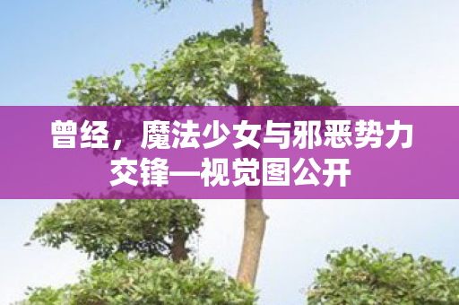 曾经，魔法少女与邪恶势力交锋—视觉图公开