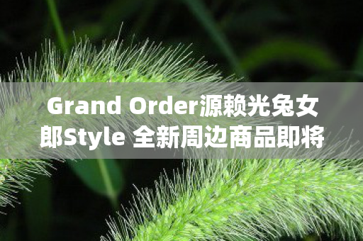 Grand Order源赖光兔女郎Style 全新周边商品即将上市
