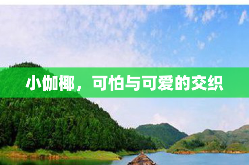 小伽椰，可怕与可爱的交织