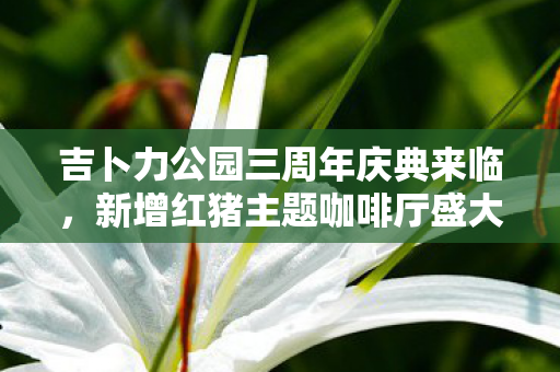 吉卜力公园三周年庆典来临，新增红猪主题咖啡厅盛大开业！