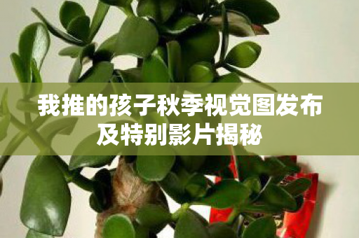 我推的孩子秋季视觉图发布及特别影片揭秘