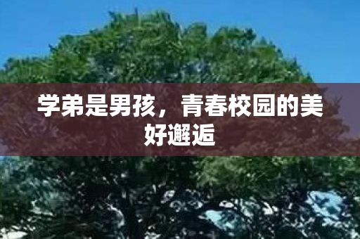 学弟是男孩，青春校园的美好邂逅