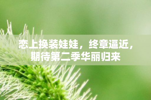 恋上换装娃娃，终章逼近，期待第二季华丽归来