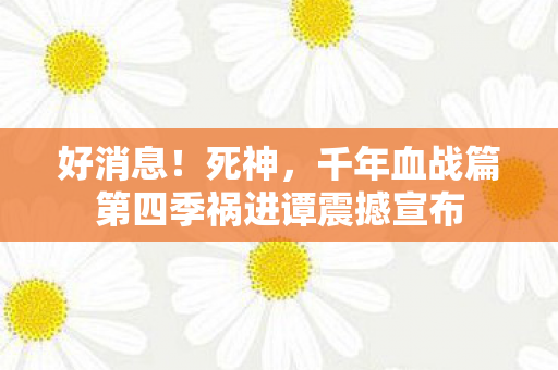 好消息！死神，千年血战篇第四季祸进谭震撼宣布