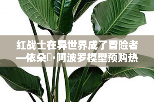 红战士在异世界成了冒险者—依朵菈·阿波罗模型预购热潮