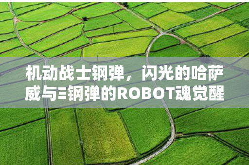 机动战士钢弹，闪光的哈萨威与Ξ钢弹的ROBOT魂觉醒