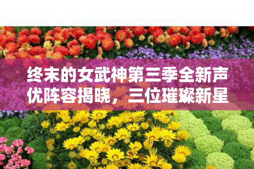 终末的女武神第三季全新声优阵容揭晓，三位璀璨新星闪耀登场