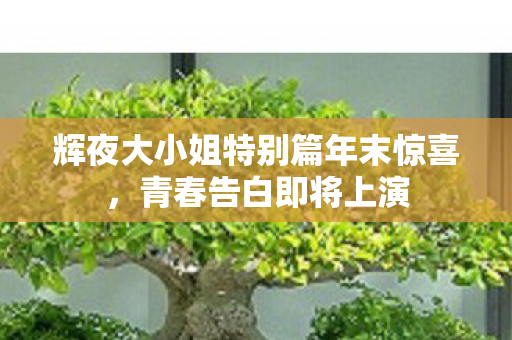 辉夜大小姐特别篇年末惊喜，青春告白即将上演