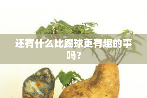 还有什么比踢球更有趣的事吗？