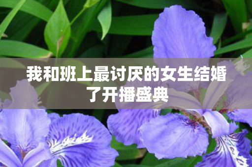 我和班上最讨厌的女生结婚了开播盛典