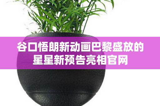 谷口悟朗新动画巴黎盛放的星星新预告亮相官网