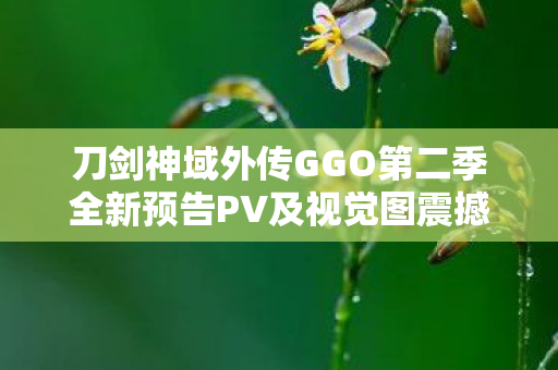 刀剑神域外传GGO第二季全新预告PV及视觉图震撼公开！