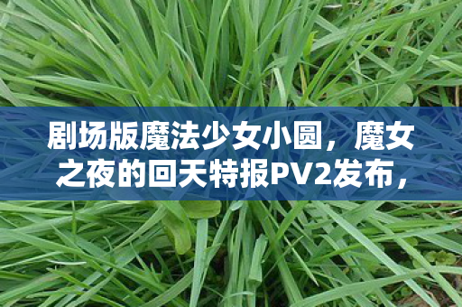 剧场版魔法少女小圆，魔女之夜的回天特报PV2发布，全新视觉盛宴即将开启