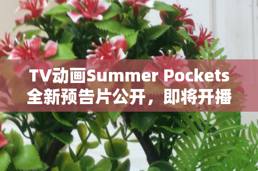 TV动画Summer Pockets全新预告片公开，即将开播！