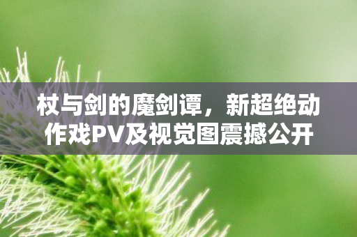 杖与剑的魔剑谭，新超绝动作戏PV及视觉图震撼公开！
