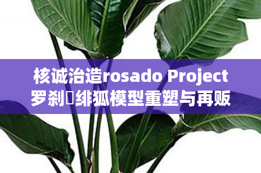 核诚治造rosado Project罗刹・绯狐模型重塑与再贩盛况