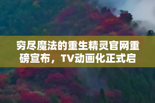 穷尽魔法的重生精灵官网重磅宣布，TV动画化正式启动！