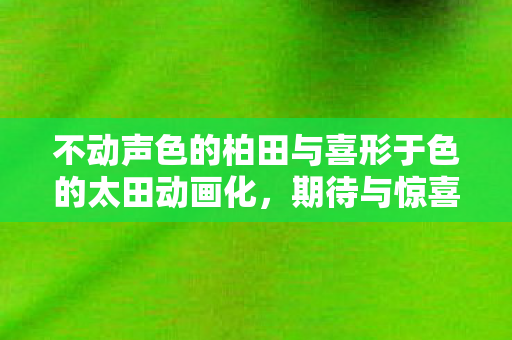不动声色的柏田与喜形于色的太田动画化，期待与惊喜的交融