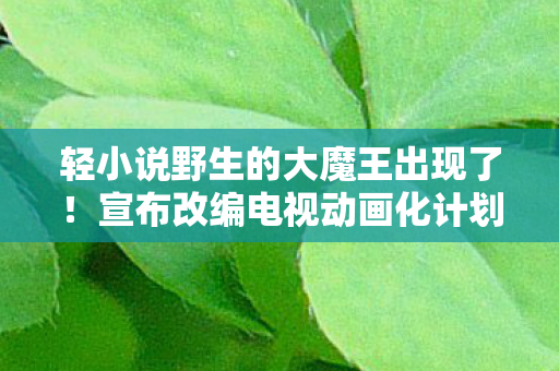 轻小说野生的大魔王出现了！宣布改编电视动画化计划