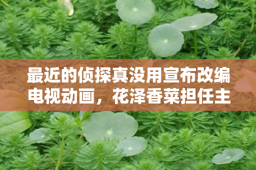 最近的侦探真没用宣布改编电视动画，花泽香菜担任主角