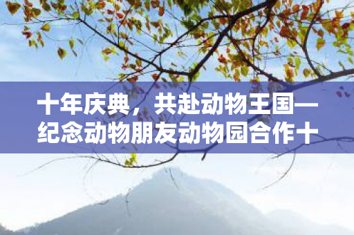 十年庆典，共赴动物王国—纪念动物朋友动物园合作十周年