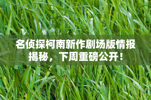 名侦探柯南新作剧场版情报揭秘，下周重磅公开！