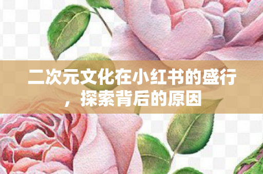 二次元文化在小红书的盛行，探索背后的原因