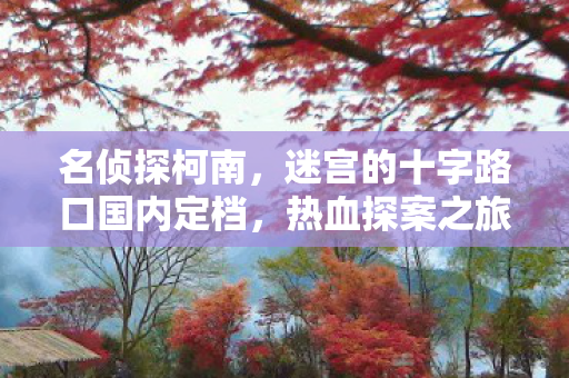 名侦探柯南，迷宫的十字路口国内定档，热血探案之旅即将开启—12月27日影院上映！