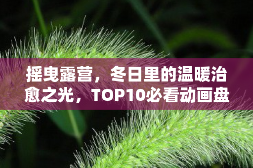摇曳露营，冬日里的温暖治愈之光，TOP10必看动画盘点