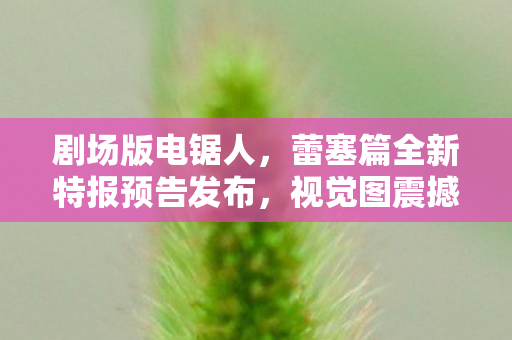 剧场版电锯人，蕾塞篇全新特报预告发布，视觉图震撼公开！