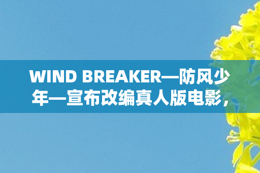 WIND BREAKER—防风少年—宣布改编真人版电影，青春热血的银幕新篇章