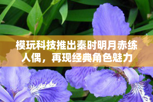 模玩科技推出秦时明月赤练人偶，再现经典角色魅力