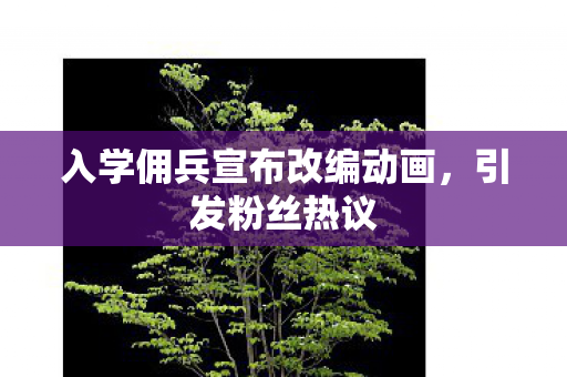 入学佣兵宣布改编动画，引发粉丝热议