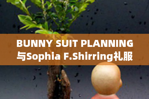 BUNNY SUIT PLANNING与Sophia F.Shirring礼服手办的世界