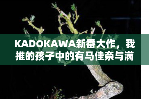 KADOKAWA新番大作，我推的孩子中的有马佳奈与满月之夜