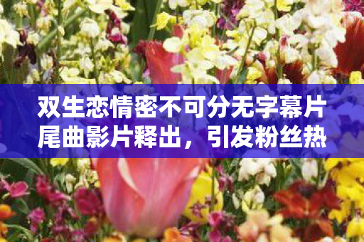 双生恋情密不可分无字幕片尾曲影片释出，引发粉丝热议