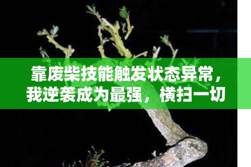 靠废柴技能触发状态异常，我逆袭成为最强，横扫一切